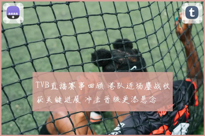 TVB直播赛事回顾 港队连场鏖战收获关键进展 冲击晋级更添悬念