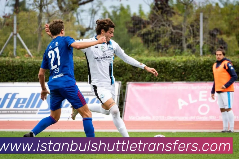 米兰官网入口APP 封面图