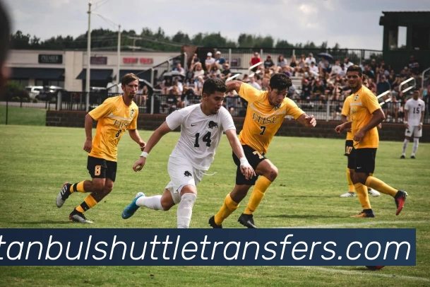 数据防护可视化